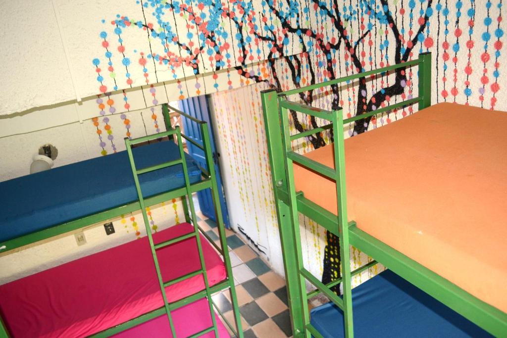 El Misti Hostel Ilha Grande Ilha Grande  部屋 写真