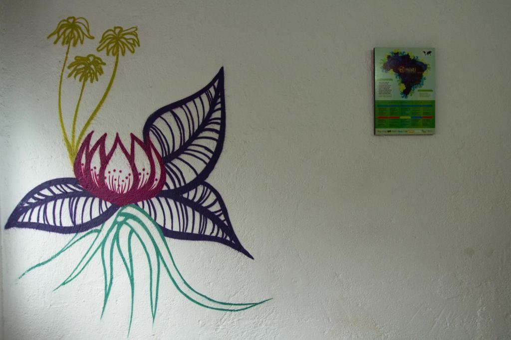 El Misti Hostel Ilha Grande Ilha Grande  エクステリア 写真